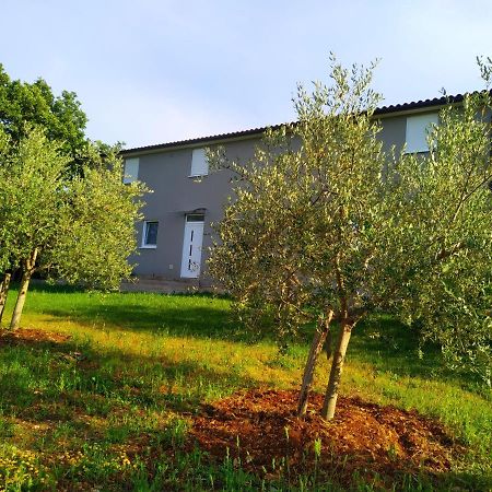 Apartments Valeria Divšići Esterno foto