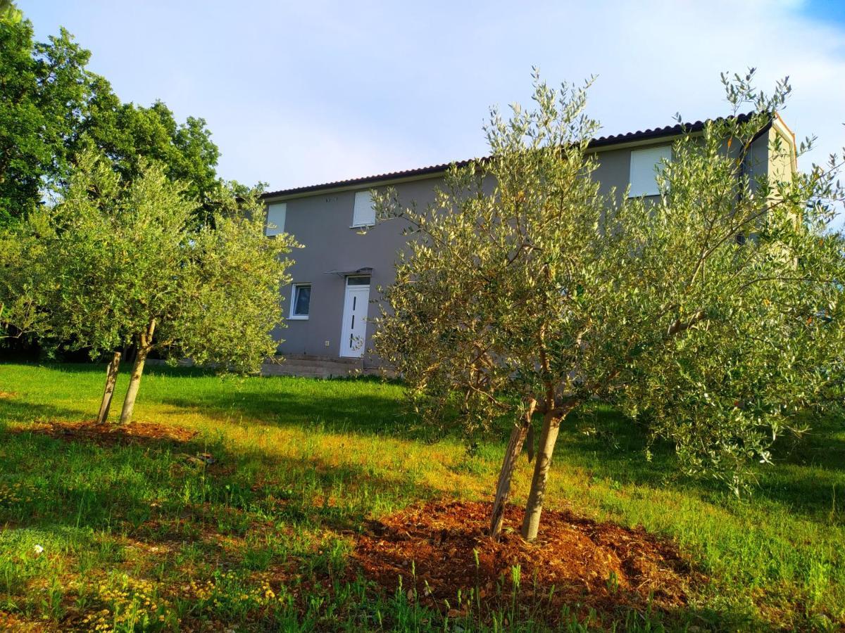 Apartments Valeria Divšići Esterno foto